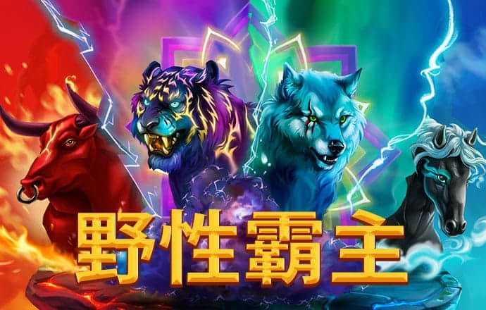 kok官方体育下载地址